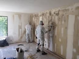 Why You Should Choose Our Mold Remediation Services in Hilbert, WI